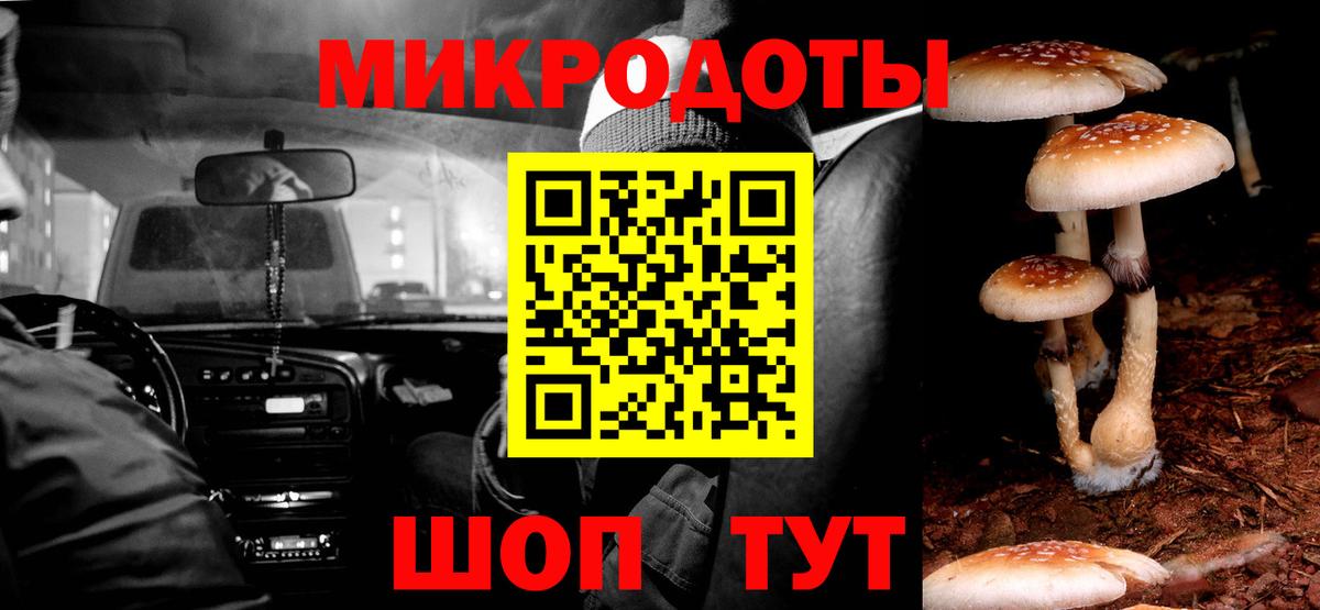 Псилоцибиновые грибы мицелий Узловая